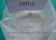 O pó cru de Prohormone dos esteroides de DHEA perde o músculo gordo Dehydroisoandrosterone CAS 53-43-0 do ganho
